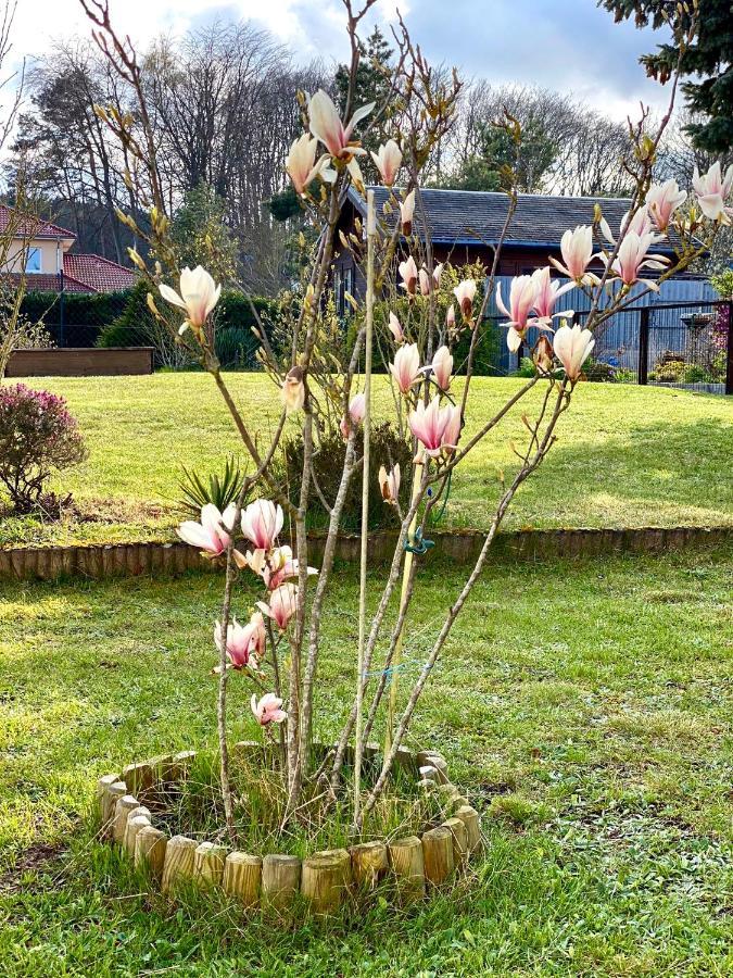 Fewo Sunshine Heringsdorf  Exterior foto